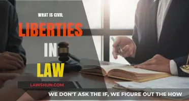 Understanding Civil Liberties: Legal Protections and Individual Freedoms Explained