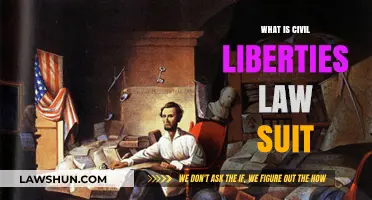 Understanding Civil Liberties Lawsuits: Protecting Individual Rights and Freedoms