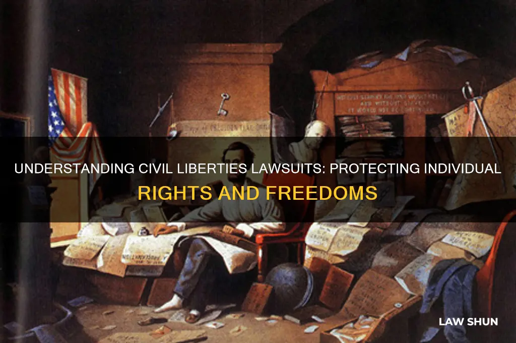 what is civil liberties law suit