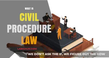 Understanding Civil Procedure Law: Key Principles and Processes Explained