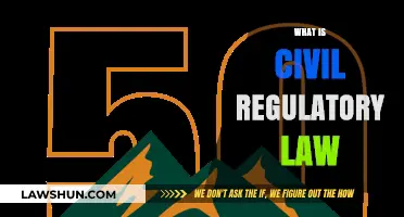 Understanding Civil Regulatory Law: Key Principles and Applications Explained