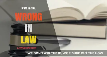 Understanding Civil Wrongs: Legal Implications and Key Differences in Law