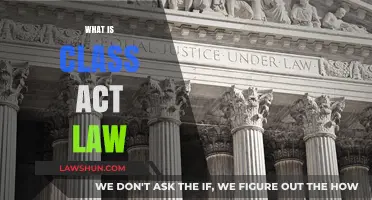 Understanding Class Act Law: Key Provisions and Legal Implications Explained