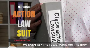 Understanding Class Action Lawsuits: Definition, Process, and Benefits Explained