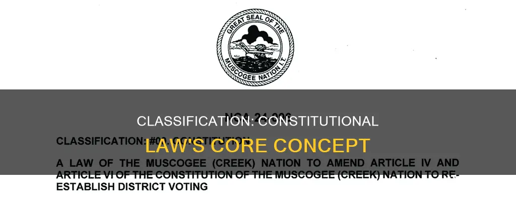 what is classification in constitutional law