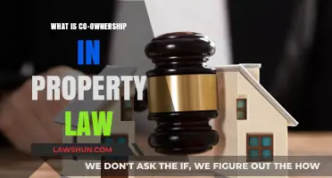Understanding Co-Ownership in Property Law: Rights, Responsibilities, and Risks