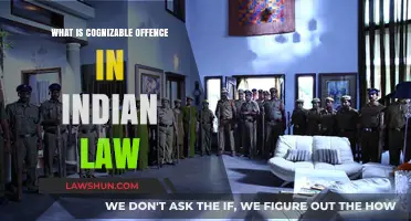 Cognizable Offences: Understanding Indian Law