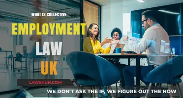 Understanding UK Collective Employment Law