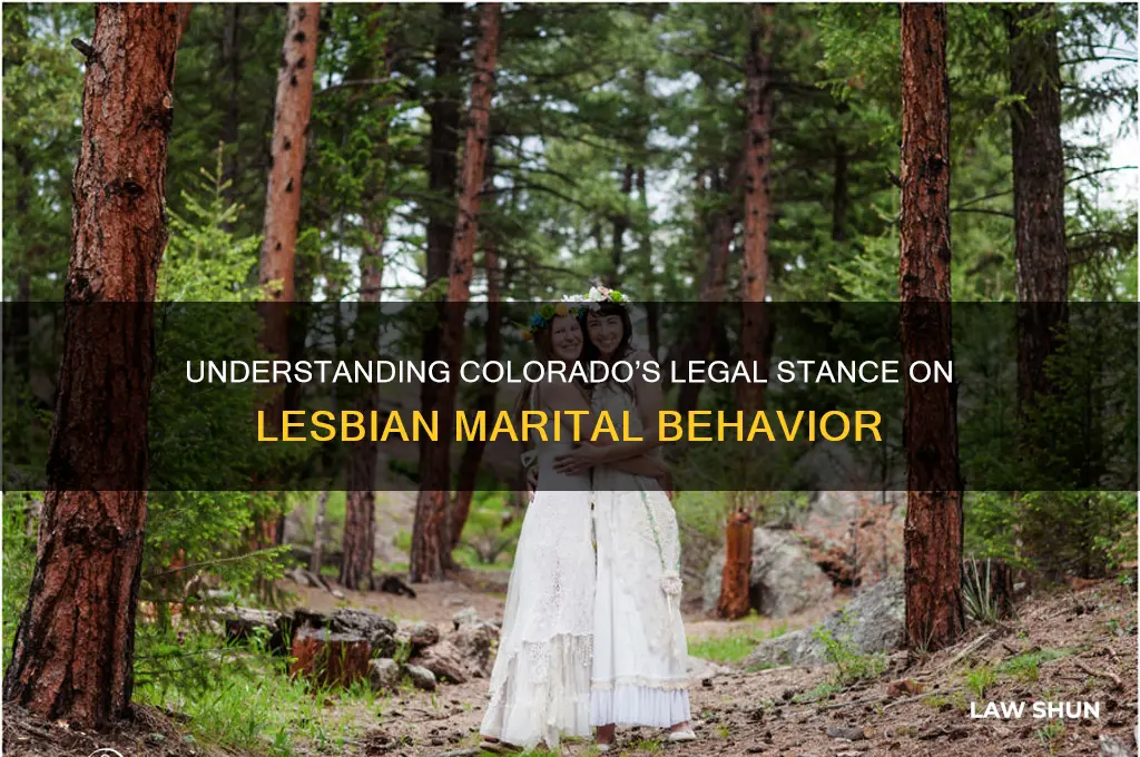what is colorado law of lesbian behavior in a marriage