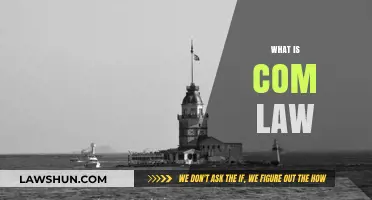 Understanding Commercial Law: Essential Insights for Business and Legal Success