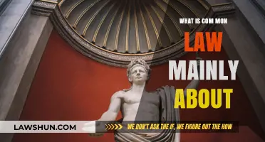Understanding Common Law: Principles, Origins, and Modern Applications Explained