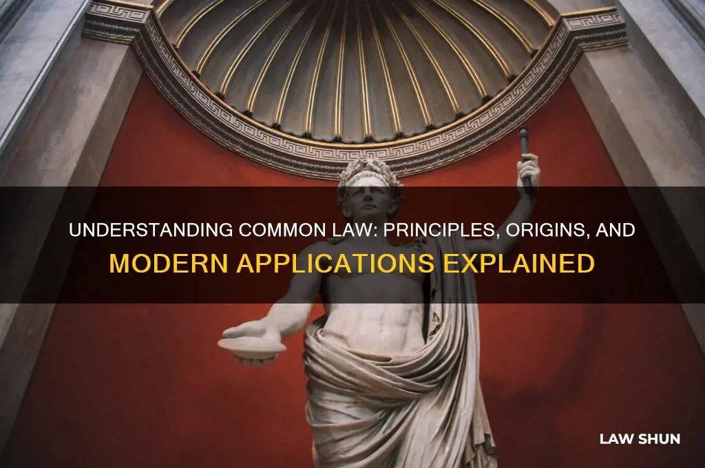 what is com mon law mainly about