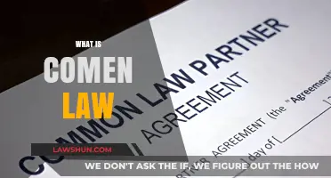 Understanding Common Law: Origins, Principles, and Modern Applications Explained