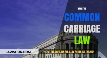 Carriage Law: Understanding Common Carrier Status