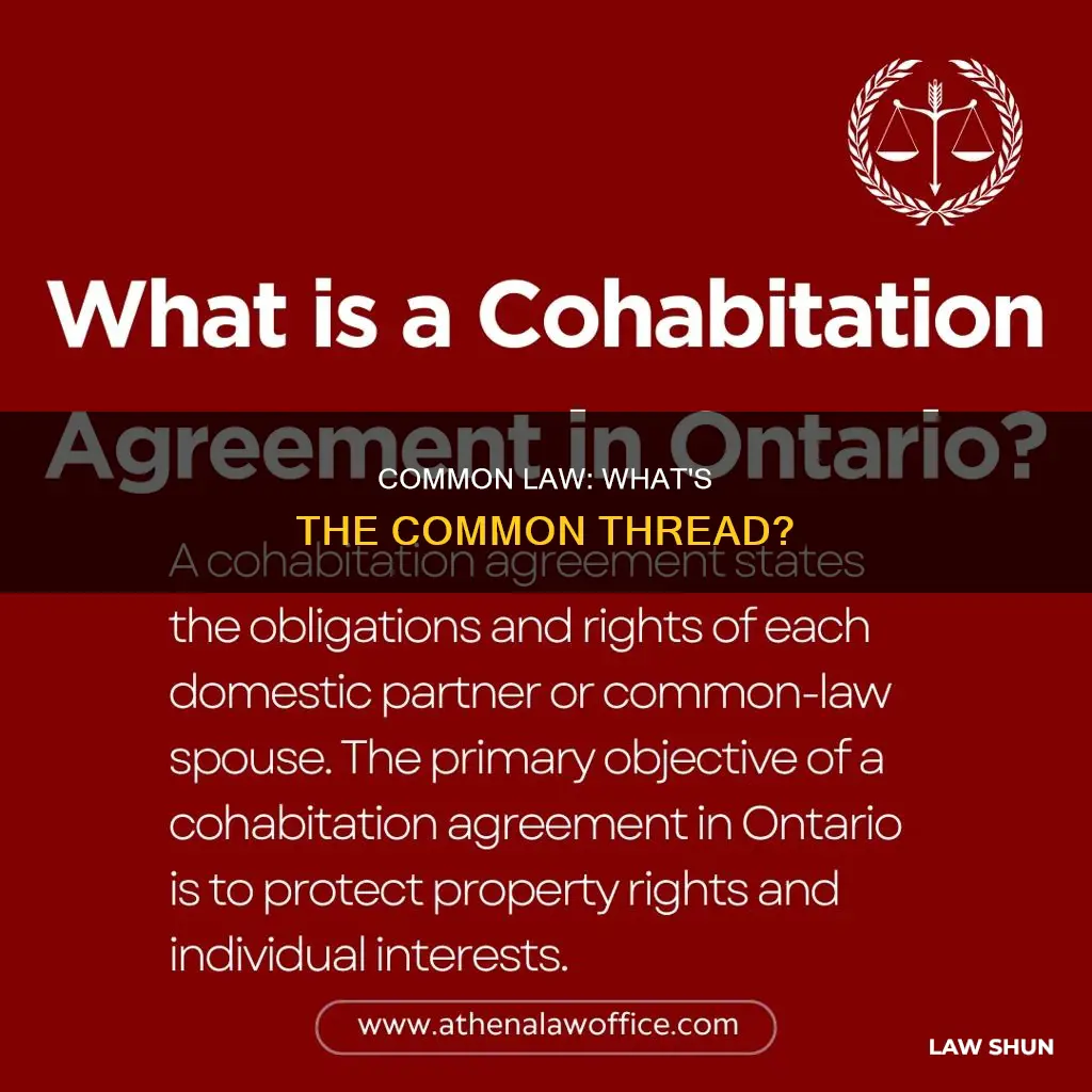 what is common in law