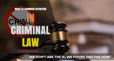 Criminal Law: Common Intent and Shared Purpose