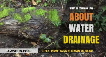 Water Drainage: Understanding Common Law Rights and Restrictions