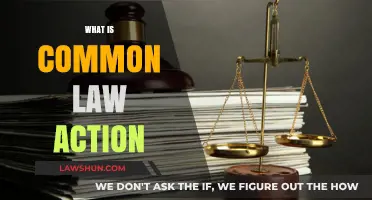 Understanding Common Law Actions: Their Nature and Scope