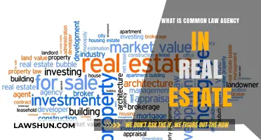 Real Estate's Common Law Agency Explained