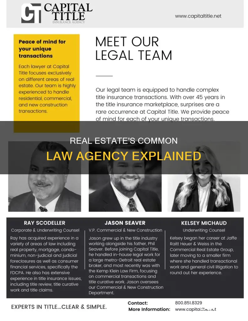what is common law agency in real estate
