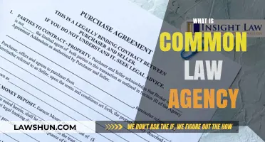 Understanding Common Law Agency: Definition and Applications