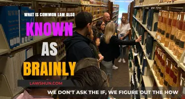 Common Law: Understanding the Unwritten Laws