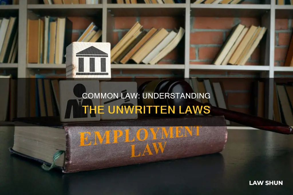 what is common law also known as brainly