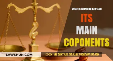 Understanding Common Law: Key Components Explained