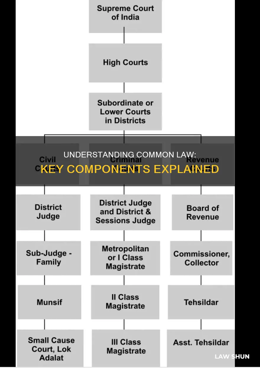 what is common law and its main coponents