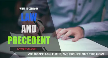 Understanding Common Law and Precedent