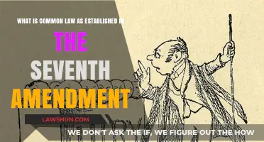 Understanding Common Law: Seventh Amendment Explained