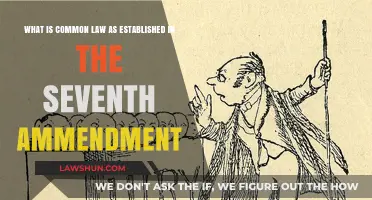 The Seventh Amendment and Common Law