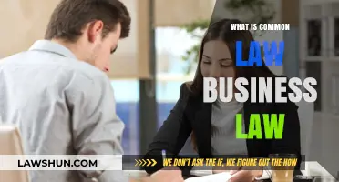 Business Law Basics: Common Law Explained
