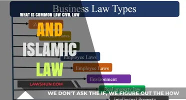 Civil, Common, and Islamic Law: Key Differences Explained