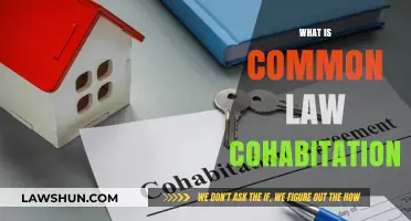 Understanding Common-Law Cohabitation Rights