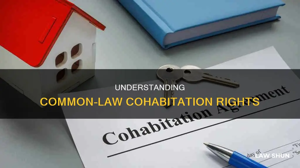 what is common law cohabitation