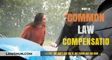 Understanding Common Law Compensation Claims