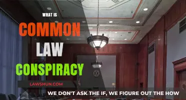 Understanding Common Law Conspiracy: Its Definition and Applications