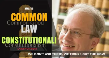 Common Law Constitutionalism: A Historical Perspective