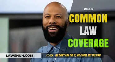 Understanding Common Law Coverage: What It Means