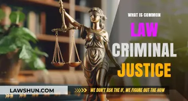 Criminal Justice: Common Law Explained