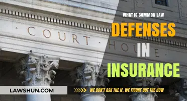 Common Law Defenses: Insurance Policy Exclusions