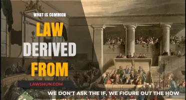 The Evolution of Common Law