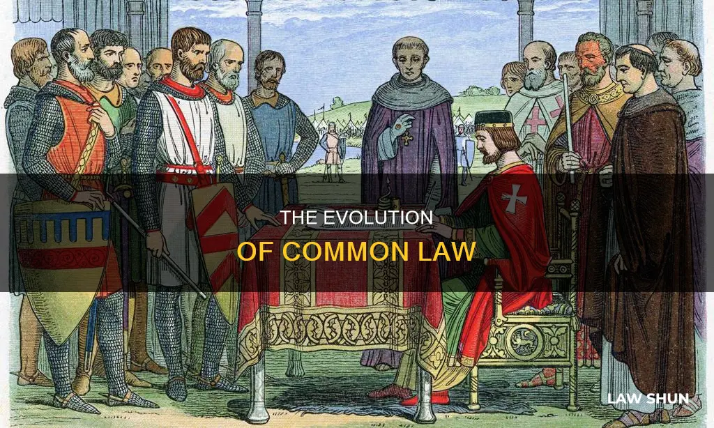 what is common law derived from