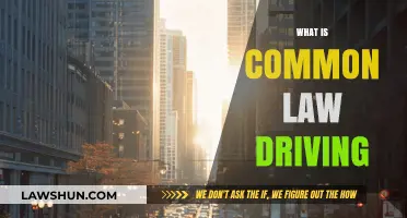 Understanding Common Law Driving: What You Need to Know