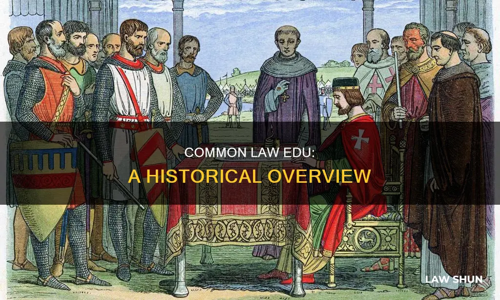 what is common law edu