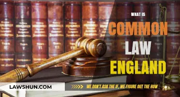 The Evolution of Common Law in England