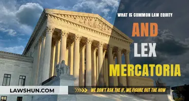 Equity, Common Law, and Lex Mercatoria: Their Interplay