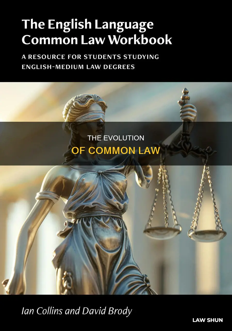 what is common law essay