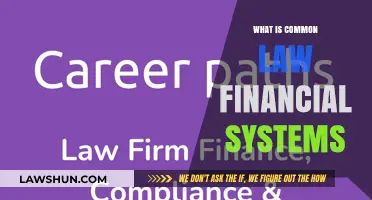 Financial Systems: Common Law Explained